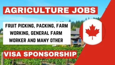 P&H Farming Jobs in Canada with Visa Sponsorship 2024