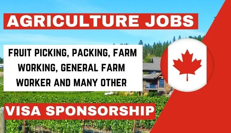 P&H Farming Jobs in Canada with Visa Sponsorship 2024