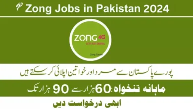 Zong Jobs