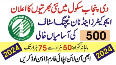 The Punjab School Jobs 2024 Online Apply