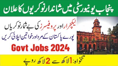 University of Punjab PU Lahore Jobs 2024