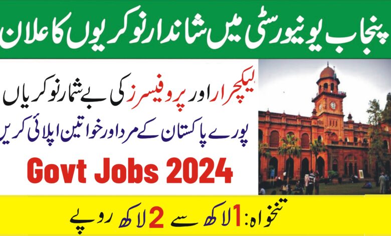 University of Punjab PU Lahore Jobs 2024