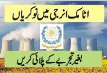 Atomic Energy Medical Center Jobs 2024