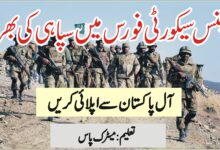 Defence Security Force (DSF) Pak Army Jobs 2024