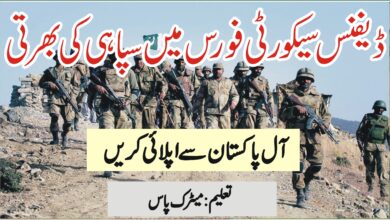 Defence Security Force (DSF) Pak Army Jobs 2024