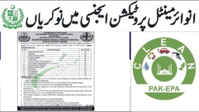 Environment Protection Department Punjab Jobs