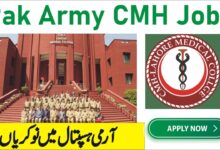 cmh jobs 2024