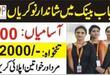 Punjab Bank jobs 2024