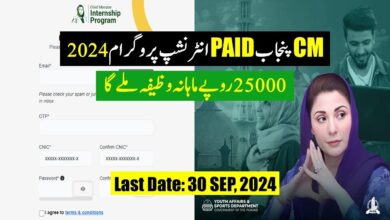 CM Punjab Paid Internship Program 2024 | Apply Online For CM Internship