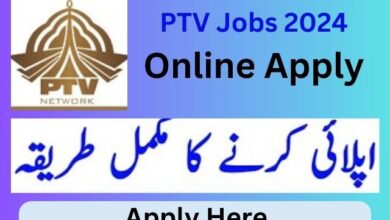 ptv jobs 2024