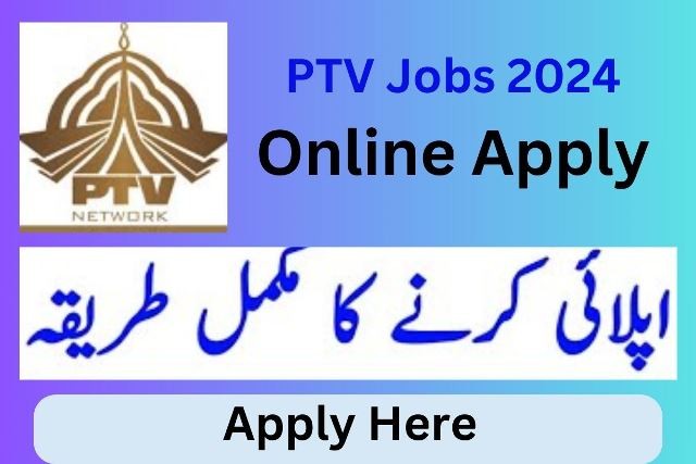 ptv jobs 2024