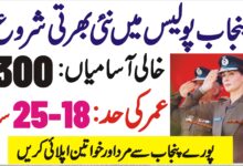 Punjab Police Jobs 2024 - Join Punjab Police Job 2024 Online Apply- Punjab Police Job Vacancies 2024