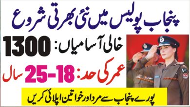 Punjab Police Jobs 2024 - Join Punjab Police Job 2024 Online Apply- Punjab Police Job Vacancies 2024