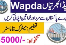 wapda jobs 2024