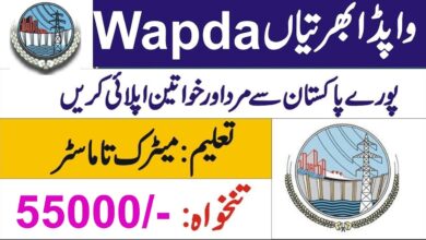 wapda jobs 2024