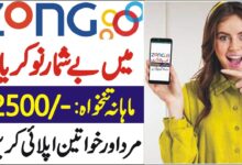 Zong Jobs For Fresh Graduates – Apply Online 2024