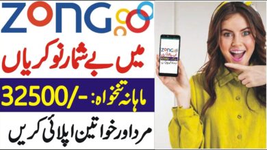 Zong Jobs For Fresh Graduates – Apply Online 2024